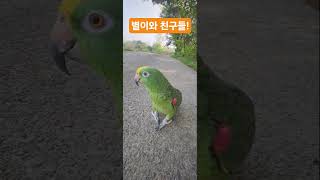 별이와 친구들 즐거운 산책!