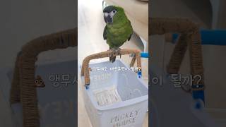 배변훈련의 결과는 마지막에! #한스마카우