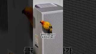 써니야 큰일 날뻔 했다~안 다쳤어?  #썬코뉴어 #pa…