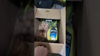 과일 좋아하는 앵이들 #청금강 #회색앵무 #과일맛집