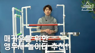 앵무새 놀이터 추천! 청금강, 매커우를 위한 단 하나의 제품