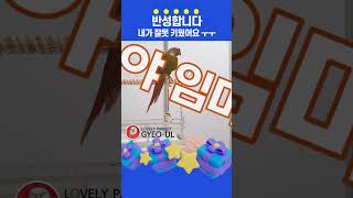 말을 너무 잘해서 버르장 머리 없는 앵무새 ㅣ말 잘하는 앵무새 이겨울 ㅣ 코뉴어시나몬