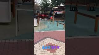 홍금강 앵무새의 첫 비행 교감 이 재일 중요 해요