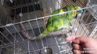 청모자아마존 &#39;럭키&#39;의 악수!