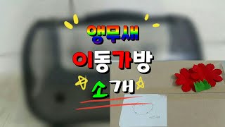 연이의 앵무새 일기 #10 / 앵무새 이동가방? / 앵…