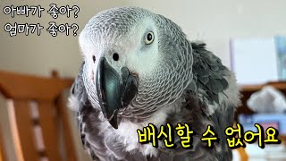 김루이한테 아빠랑 엄마 중에 누가 더 좋은지 물어봤더니...