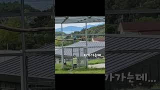 1고백 1차임 청금강 앵무새 '이오늘'