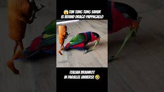 #tungtungtungsahur behind Drag…