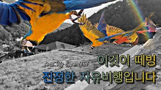 양평 카페 마카우 DAY 4 [날아라 슈퍼버드 - 날슈…