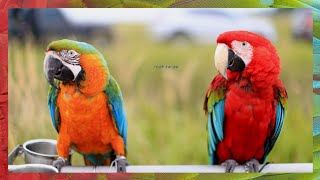 힐링이 되는 영상