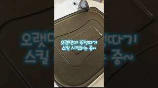 #반려동물 #앵무새 #앵무새추천 #엄브렐라코카투 #뚜껑따기 #parrot  #parrotlife #parrotvideo #petvideos #umbrellacockatoo