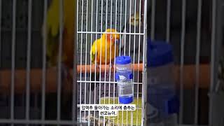 압력추 돌아가는 소리에 춤추는 썬코뉴어