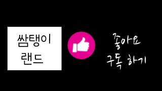 [아직도 물어요?] 중형조 앵무새 입질 관리 이렇게 해…