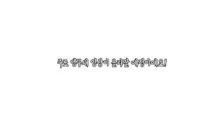 앵무새 소개 영상/ 앵무새/ 코뉴어/ 귀여운 앵무새 영상
