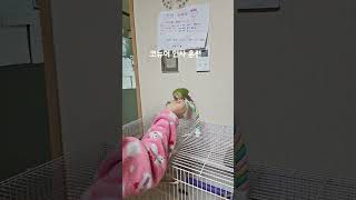 코뉴어 초기 인사 훈련