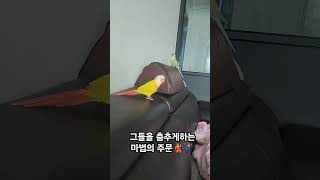 춤추는앵무새                        …