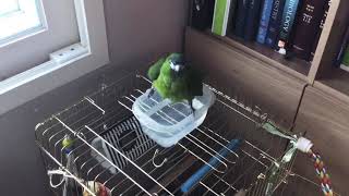 한스 마카우 목욕씬~^^