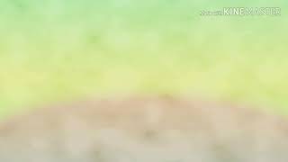 회색앵무vs사랑앵무 댓글에 적어주세요♥.♥