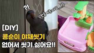 [DIY] 퀘이커 앵무새 자동샤워장 만들기! (후기포함)
