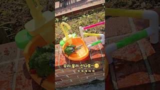 율리,수중댄스 #한스마카우 #아마존앵무새