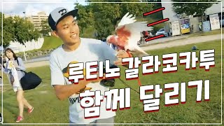 루티노갈라코카투 자유비행 함께 달리기