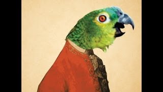 Parrot singing opera (original…