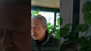 손목사님과 앵무새  콩이 와의 교류