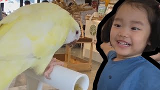 아빠와 광교카페거리! 솔잎이와 앵무새 카페에 가봤습니다…