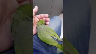 딱지야 갑자기 왜 이러니^^