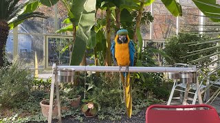 양평 카페 마카우 DAY1 #1 [자유비행][청금강]