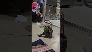 안된다했지! #옐로우카라마카우#뒤로발라당.놀라.줄행랑ㅋ…