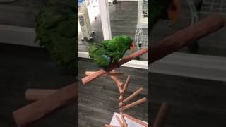 흔들 회전계단 횟대 대