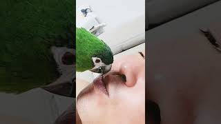 한스마카우.뽀미 뽀뽀 .2024년 8월 13일