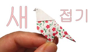 종이접기 앵무새 ♥ origami parrot