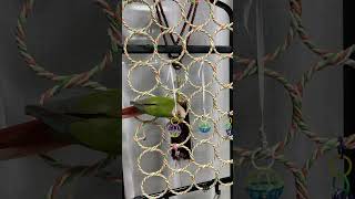 소망이의 일상(코뉴어)