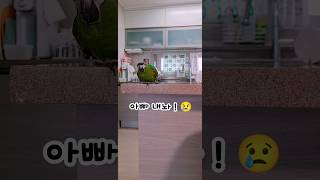 내 아빠 당장 내놔~!!  아빠~?? 명확한발음한스마카…