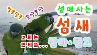 들이대커플 : 너무 좋은데서 사니까 2세 만들겠다고 ..