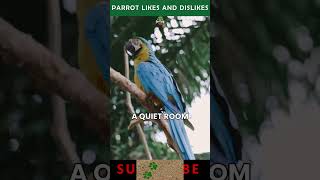 What Parrots Love and Hate! #p…