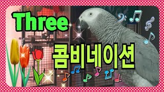 춤추고 노래하고 똘이의전성기 4월마지막날 건강하고 즐거…