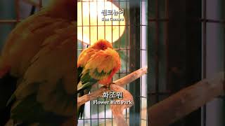 썬코뉴어 앵무새 보러 제주도 아이랑 가볼만한곳 화조원에 놀러오세요