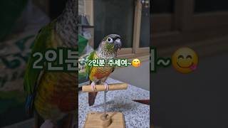 코뉴어앵무새#더빙농장 #동물더빙#병맛더빙 #dubbin…