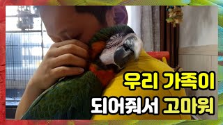 [마르코와 라틴] 우리가족이 되어줘서 고마워  만나지 못할뻔했던 앵무새들과의 소중한인연