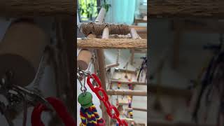 누가그랬어!!!!ㅎㅎ