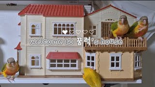 [아가코뉴어×실바니안]  끝까지 시청 가능하신분? 제가 문제지 애들은 귀여워요