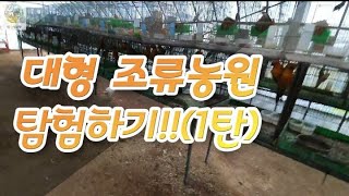 대형조류원에 가서 탐험하기!! 오예~!! (1탄)
