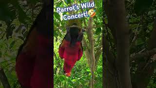 Parrot lover. Singing birdCute…