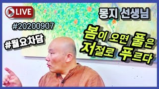 2020년 9월 7일 몽지 월요차담(봄이 오면 풀은 저…