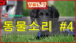 새소리 개짖는소리 앵무새소리 - 동물소리 효과음모음 4[효과음닷컴]