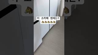 뭉실이 사고치는 현장급습#앵무새 #동물 #반려동물 #cute #카이큐 #애교쟁이 #사건사고