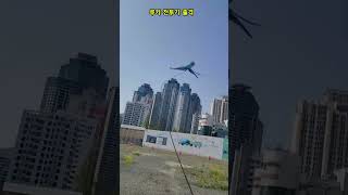 폭탄 투하 하는 전투기 #청금강 #청금강앵무새 #mac…